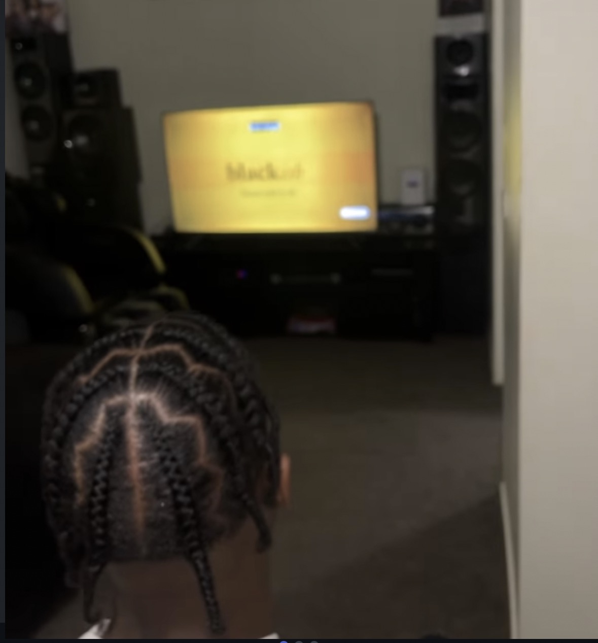 Braids and hairstyle by Hair Done by Layy