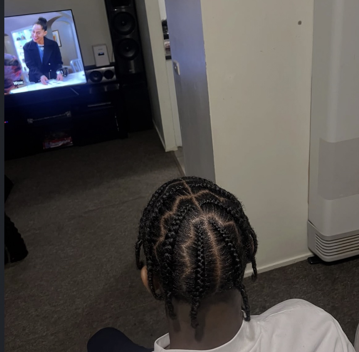 Braids and hairstyle by Hair Done by Layy
